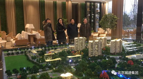 这个中心缘何引起集团公司领导的相继调研——节能住宅项目背后的低碳优先治理逻辑